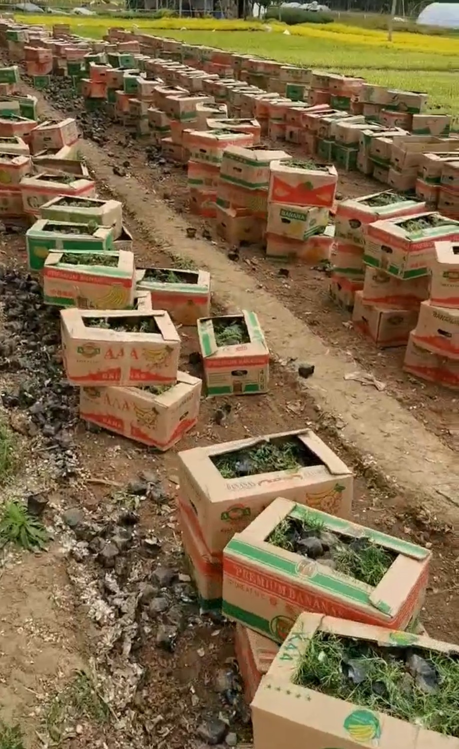 發(fā)貨現(xiàn)場(chǎng)