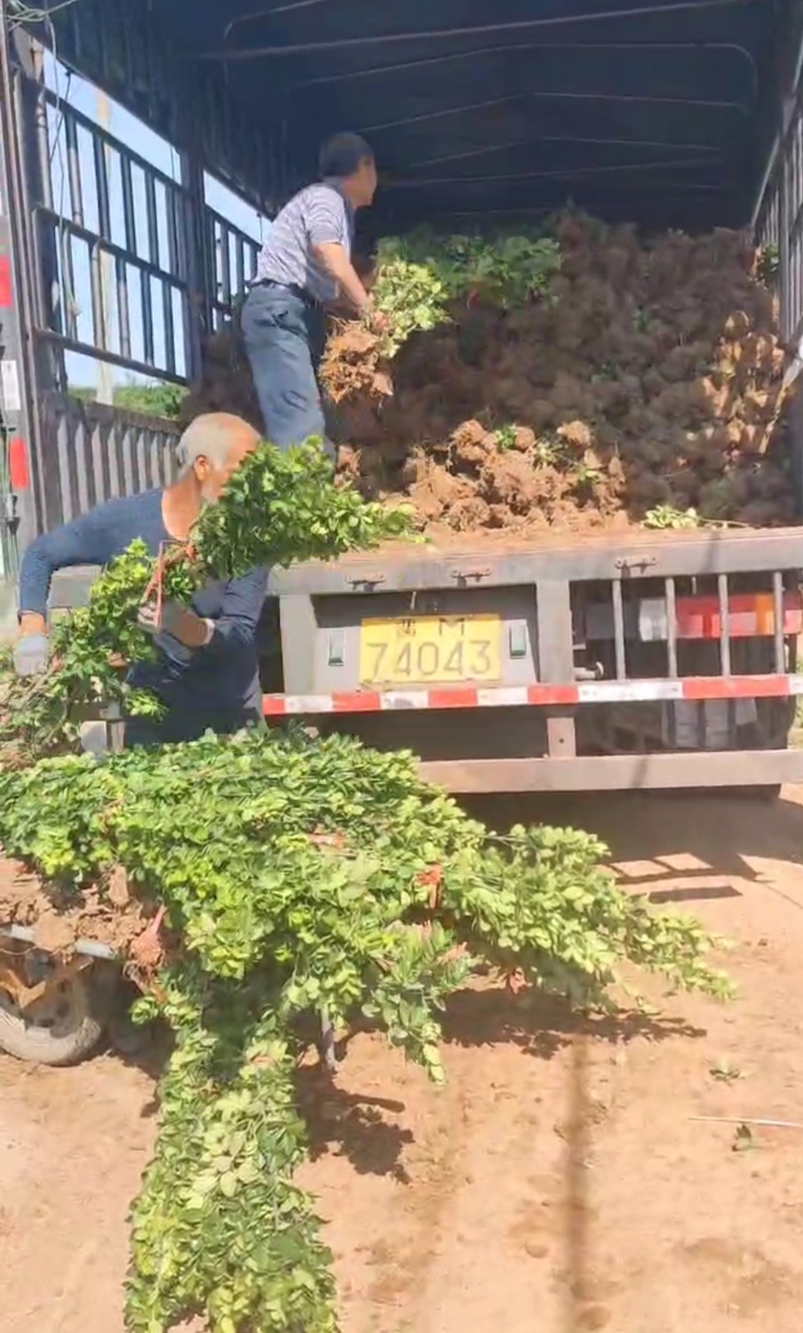 發(fā)貨現(xiàn)場(chǎng)