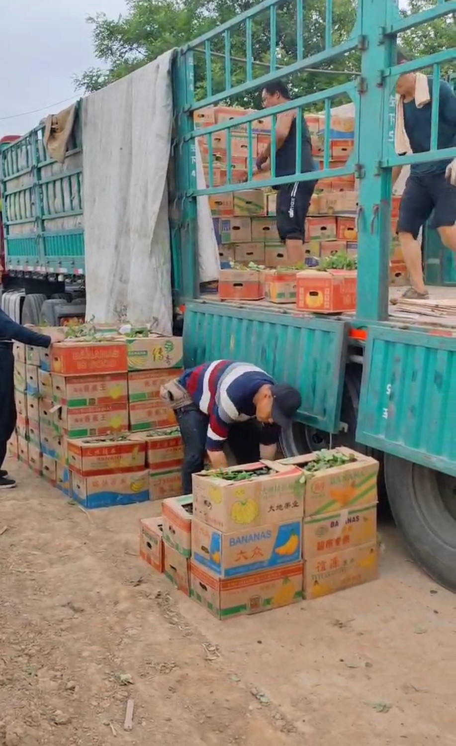 發(fā)貨現(xiàn)場(chǎng)