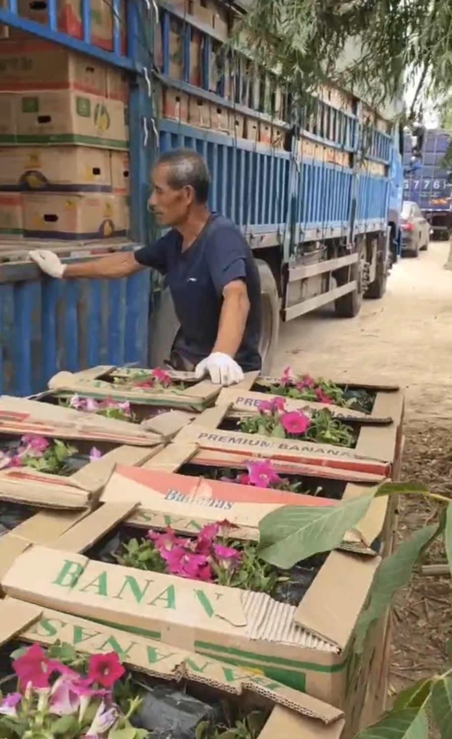 發(fā)貨現(xiàn)場(chǎng)