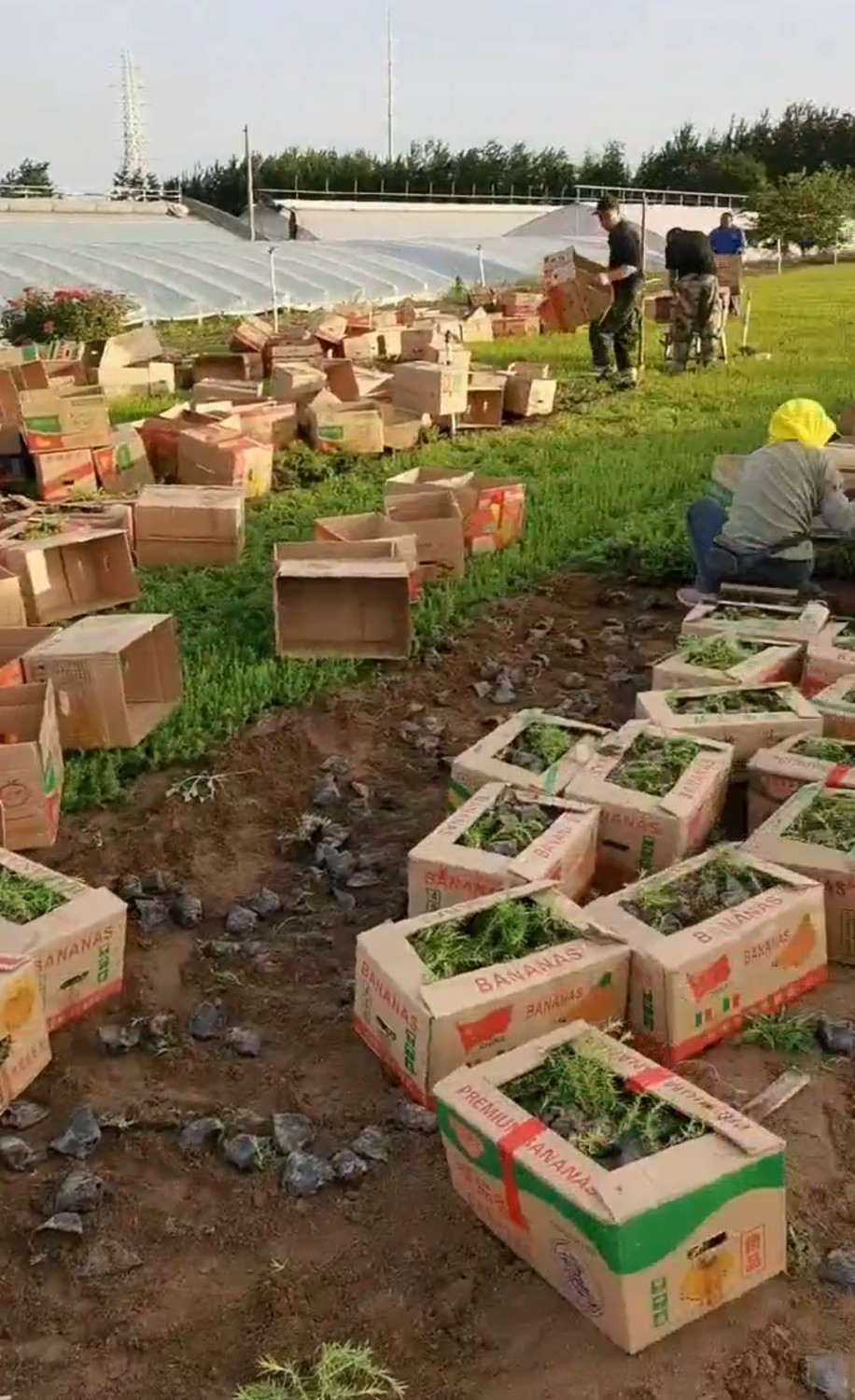 發(fā)貨現(xiàn)場(chǎng)